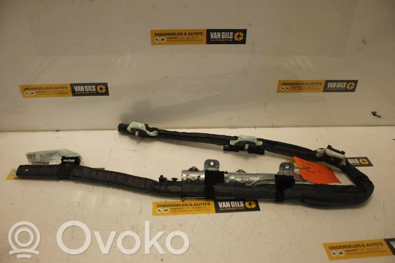 Ford Focus Kopfairbag