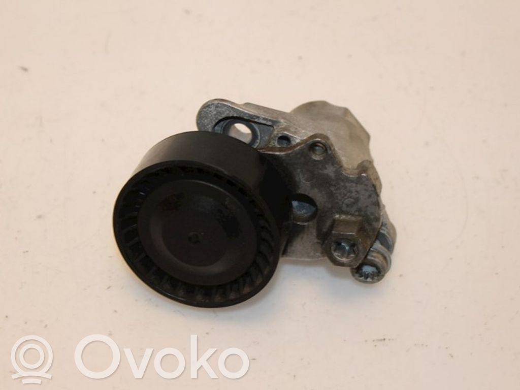 Volkswagen Polo V 6R Întinzător curea alternator