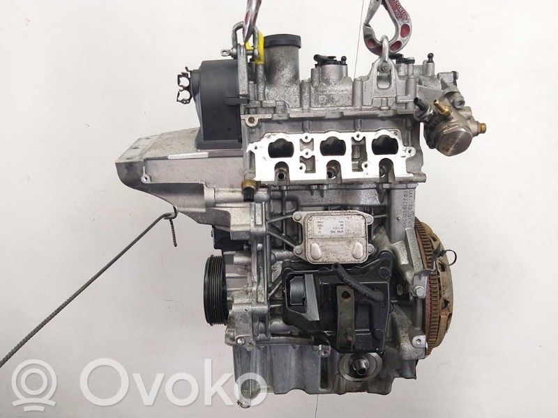 Seat Ibiza IV (6J,6P) Motore