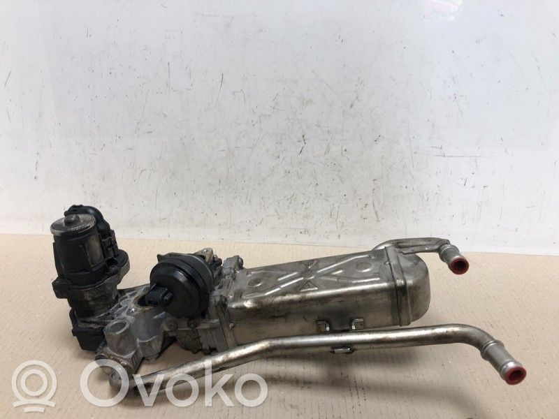 Skoda Fabia Mk2 (5J) Valvola di raffreddamento EGR 
