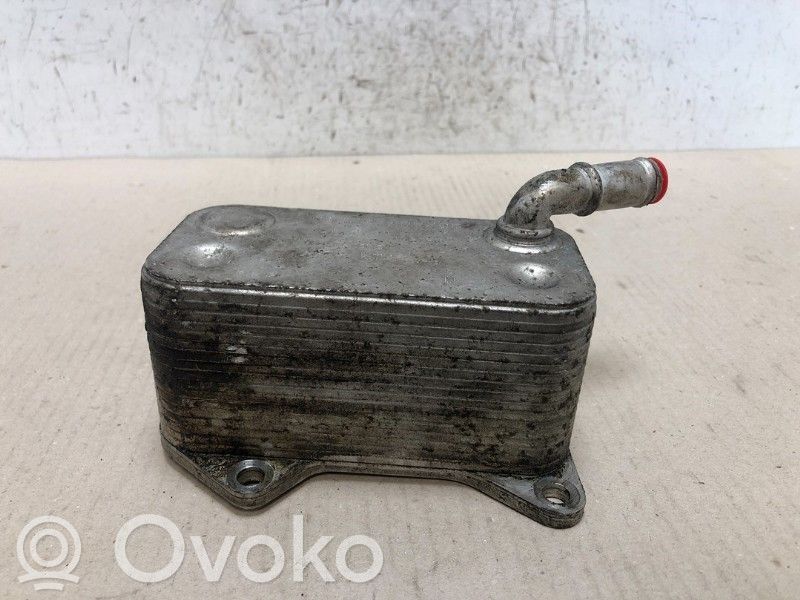 Audi A4 S4 B7 8E 8H Radiatore dell’olio del motore
