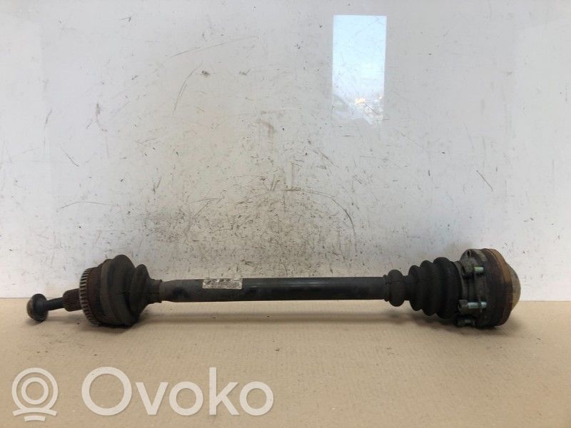 Audi A4 S4 B7 8E 8H Planetară spate 
