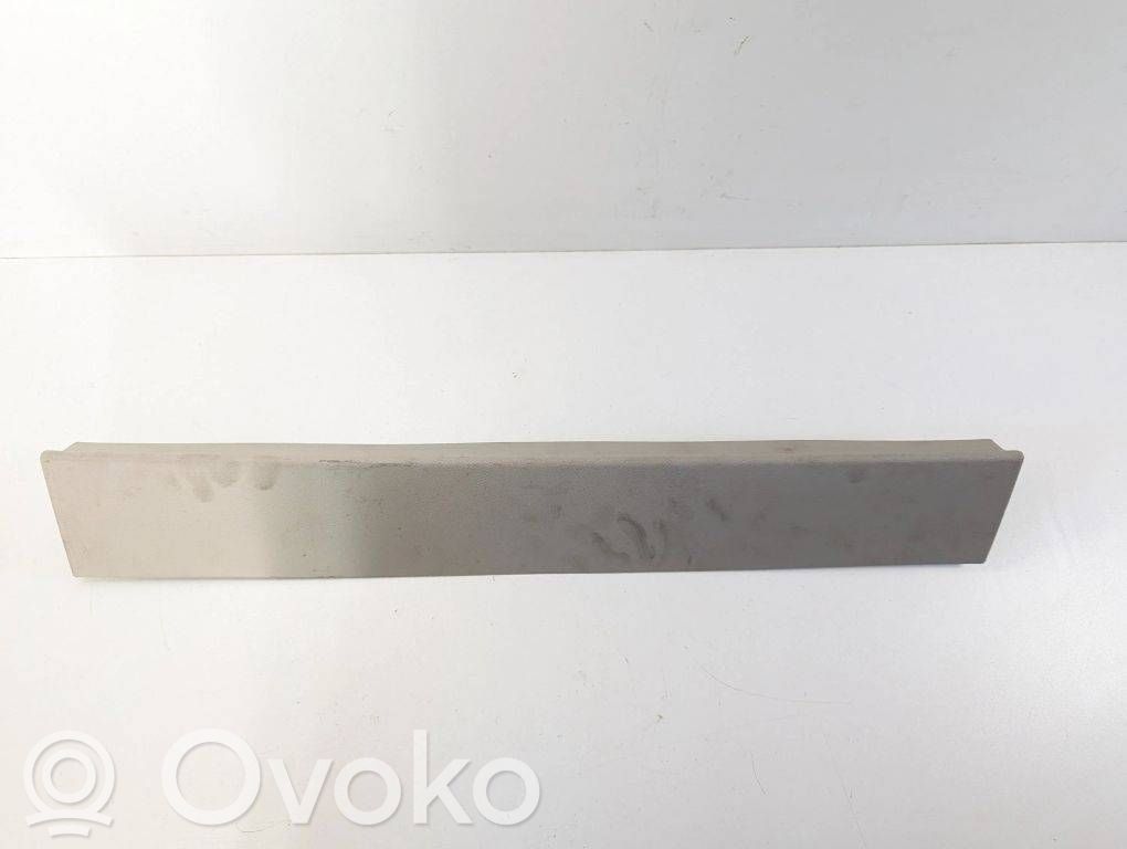 Chrysler Pacifica Tailgate trim 