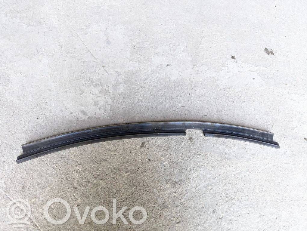BMW X3 F25 Front door rubber seal 