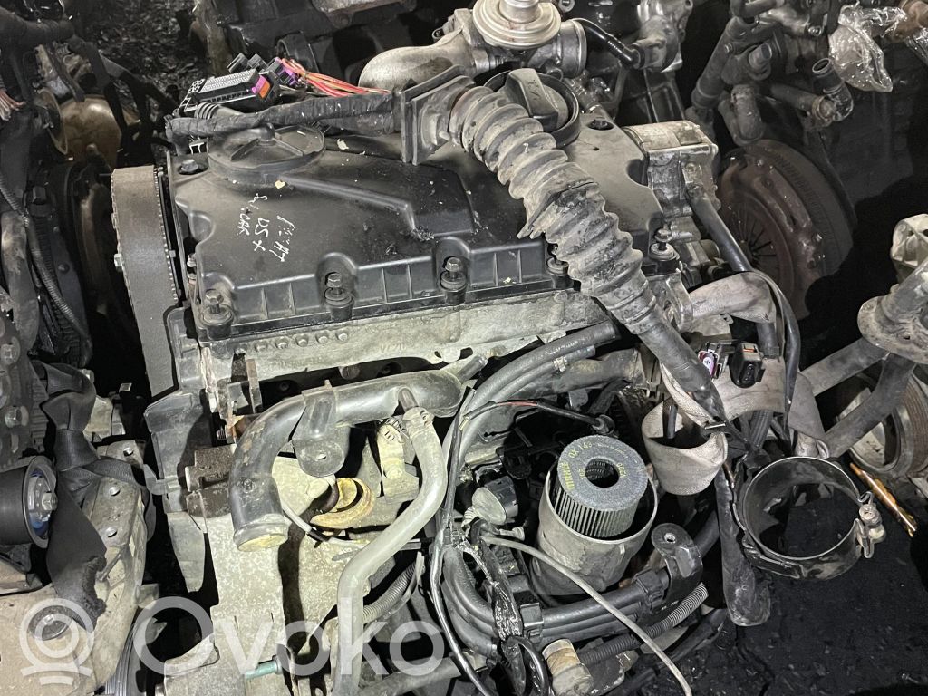 Volkswagen PASSAT B5.5 Motor 