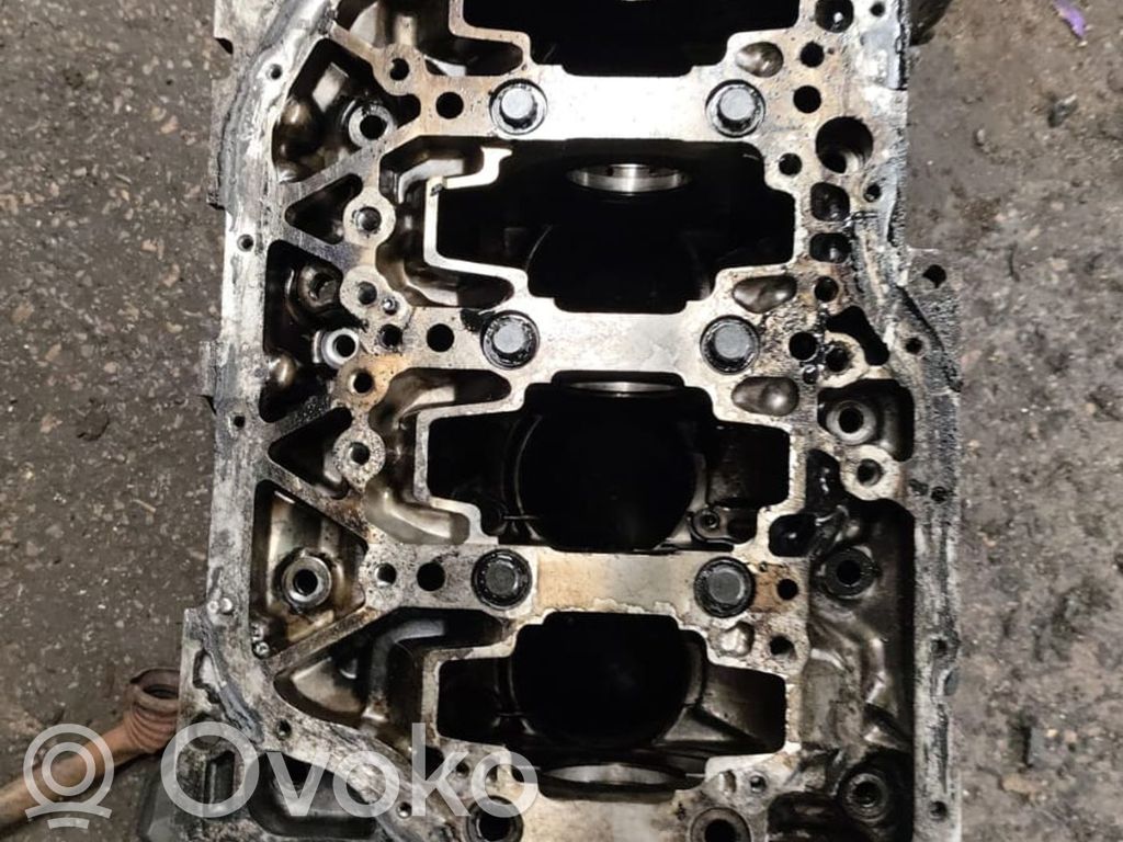 Bloque de motor   2AD,0208490
