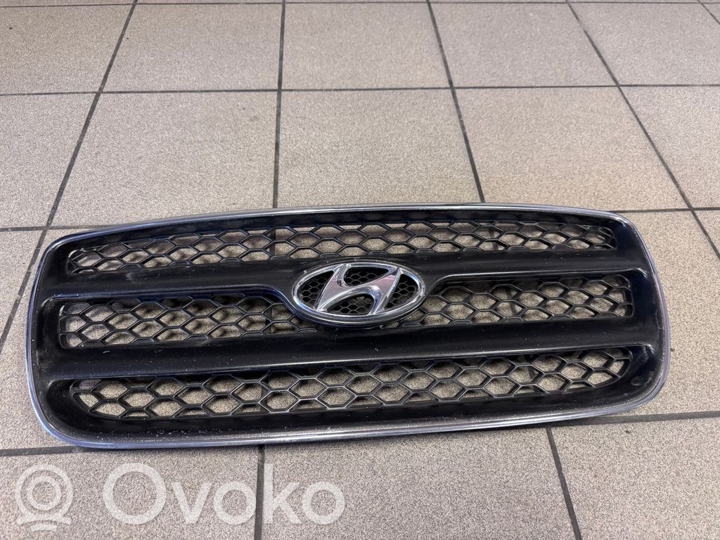 Hyundai Santa Fe Etusäleikkö 
