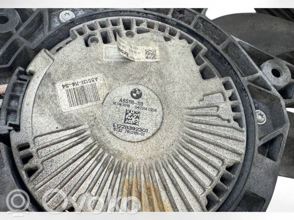 BMW M6 Electric radiator cooling fan 