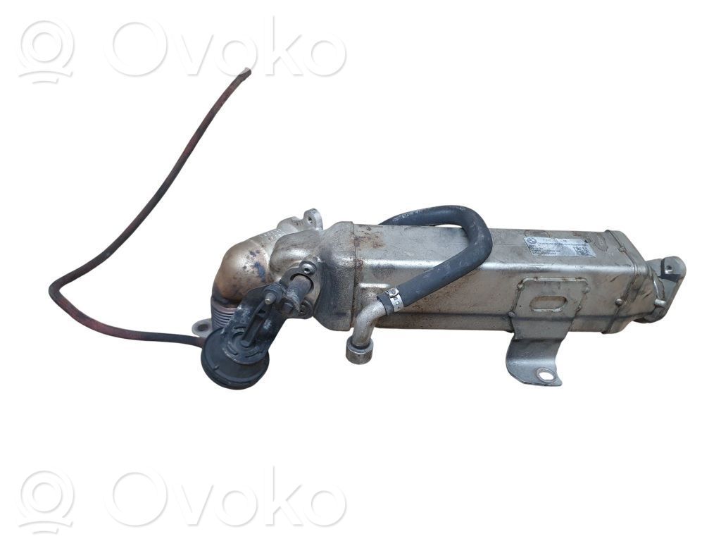 BMW 5 F10 F11 EGR dzesētājs 