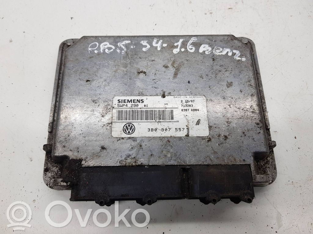 Volkswagen PASSAT B5 Engine control unit/module 