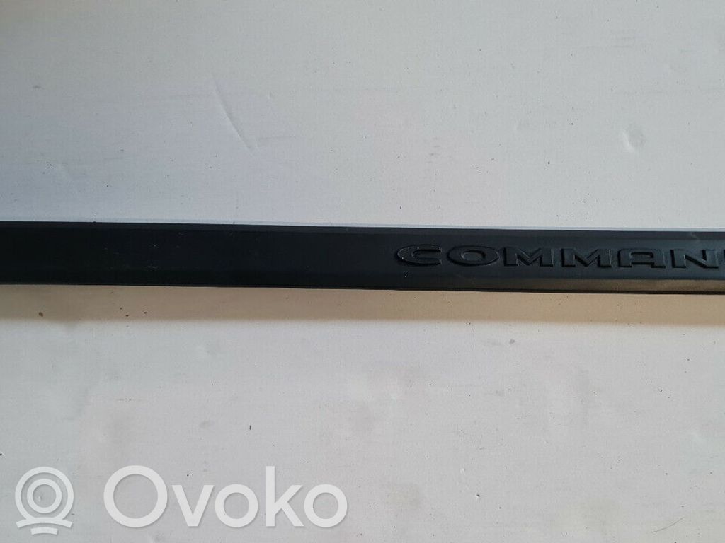 Front door trim (molding)