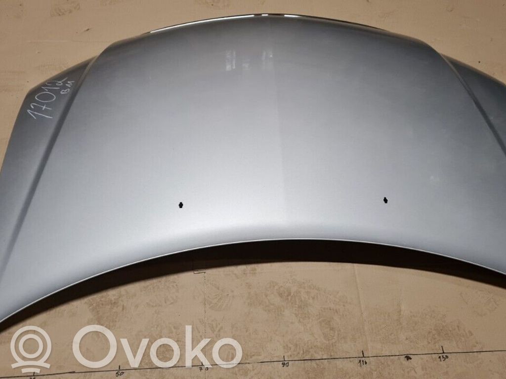 Engine bonnet/hood
