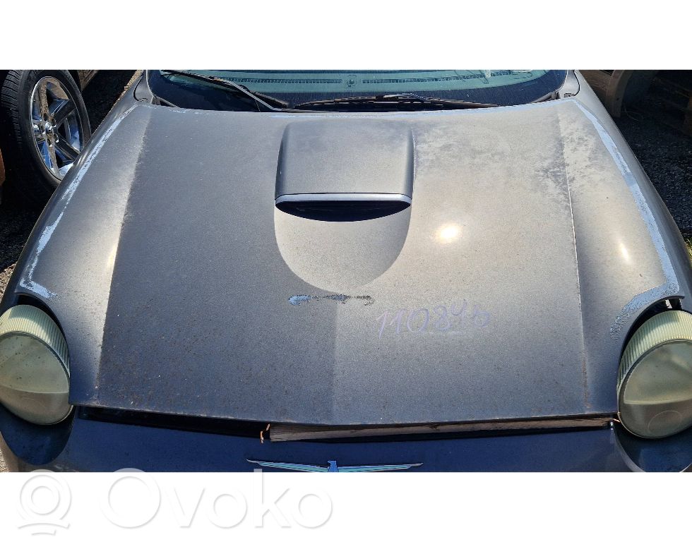 Engine bonnet/hood