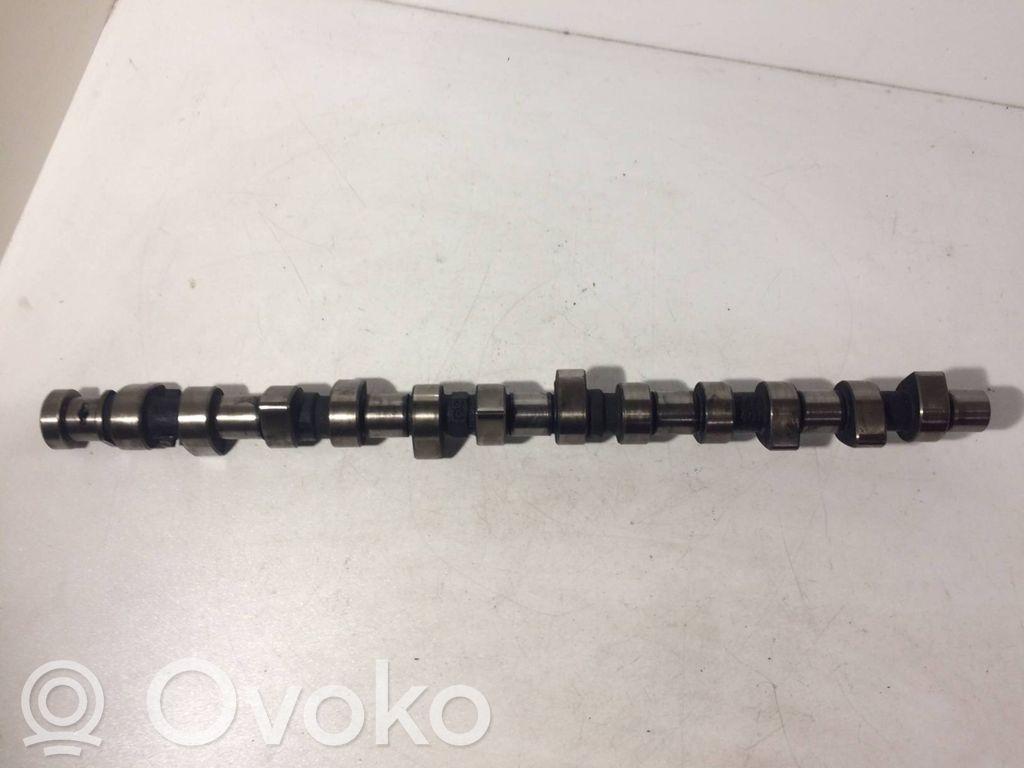 Camshaft   244461