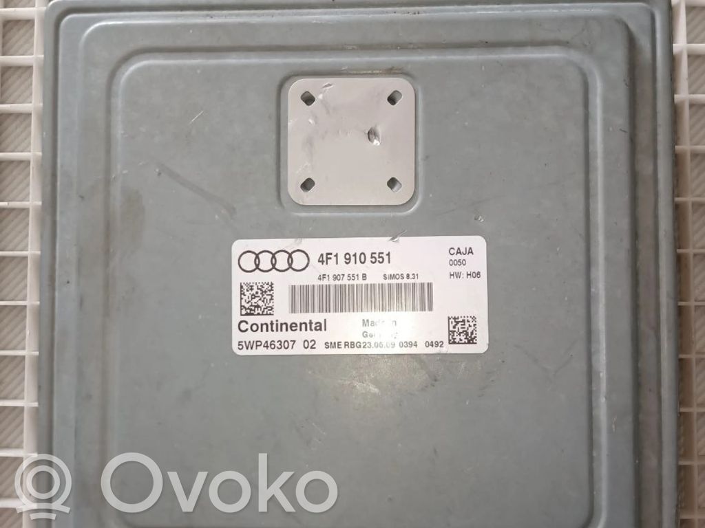 Audi A6 S6 C6 4F Engine control unit/module 