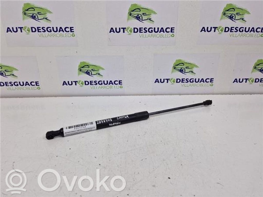 Tailgate/trunk strut/damper