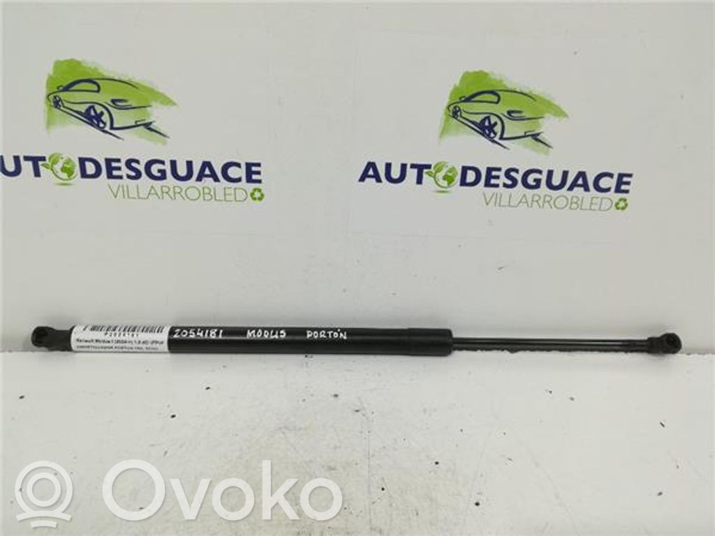 Tailgate/trunk strut/damper
