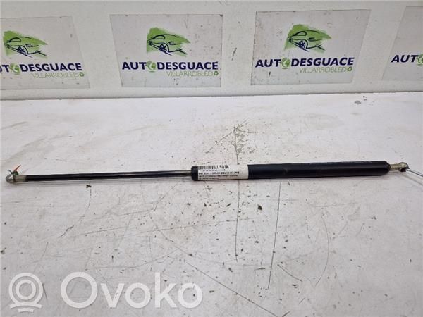 Tailgate/trunk/boot lid buffer