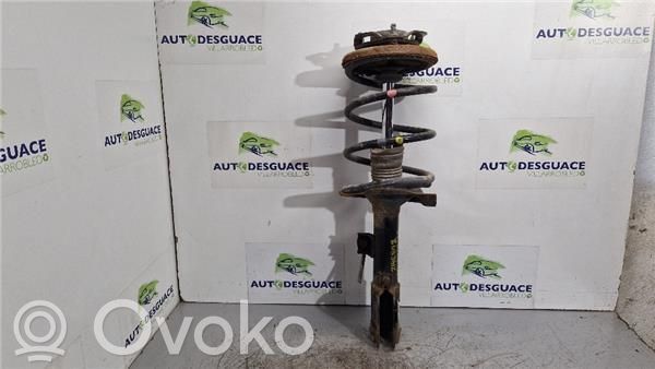 Citroen C4 Aircross Amortizor față 