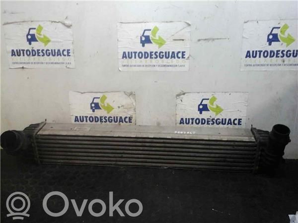 Renault Laguna III Chłodnica powietrza doładowującego / Intercooler 