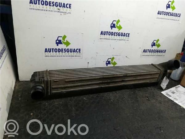 Intercooler radiator