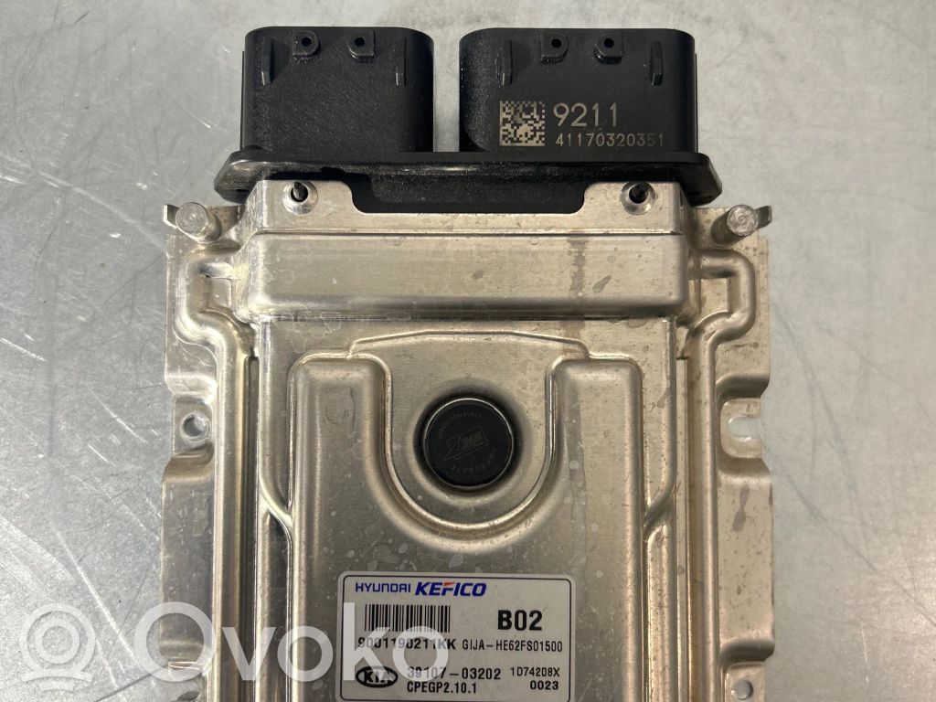 Engine control unit/module   3910703202,1074208X,9001190211KK,CPEGP2101