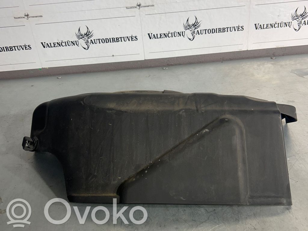 Variklio dangtis (apdaila)   7789009,14389710