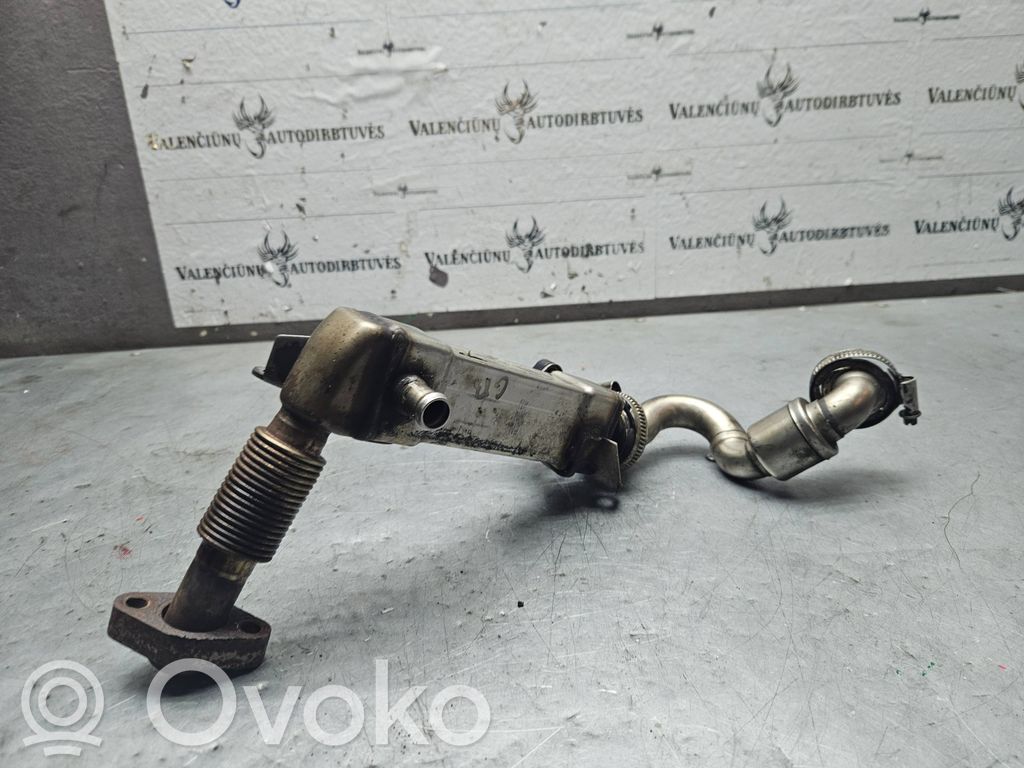 BMW 3 E90 E91 EGR aušintuvas 