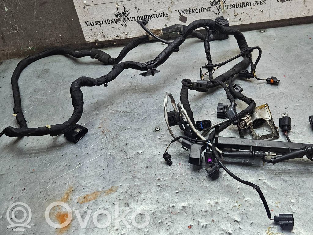 Skoda Superb B6 (3T) Проводка двигателя 