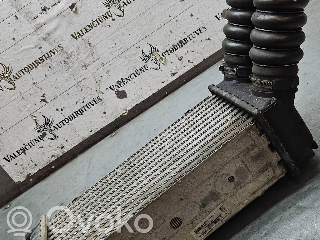Peugeot 307 Intercooler radiator 