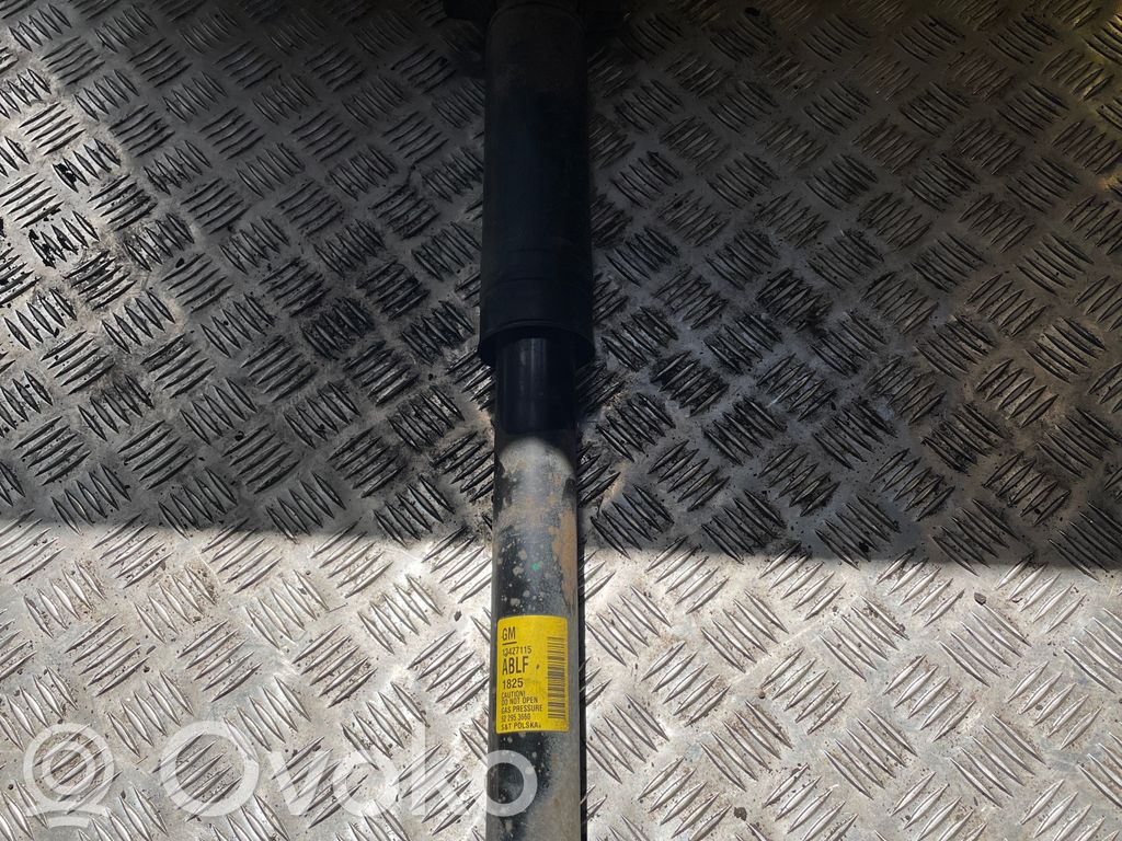 Opel Cascada Takaiskunvaimennin 