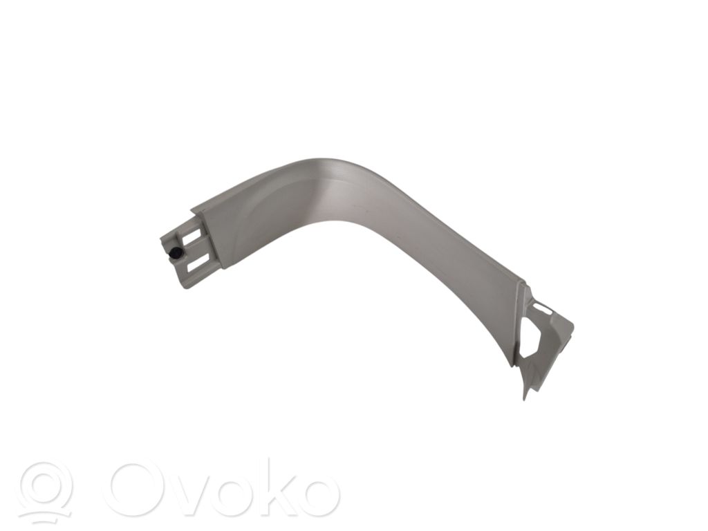 Chrysler Pacifica Tailgate trim 