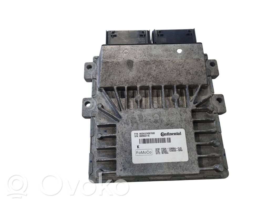 Ford F150 Engine control unit/module 