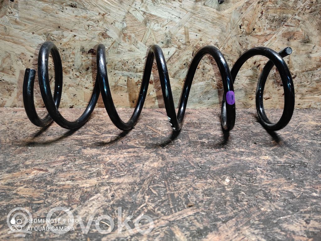 Rear coil spring