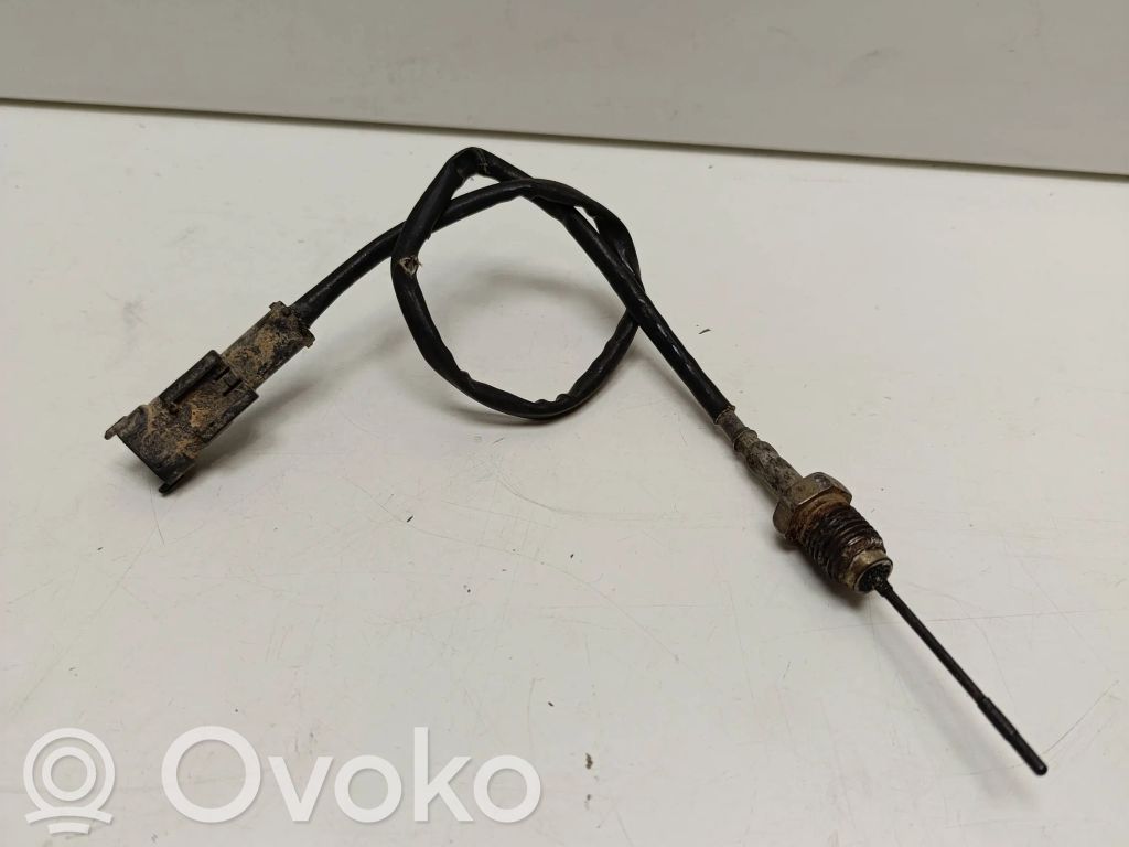 Fiat Ducato Exhaust gas temperature sensor 
