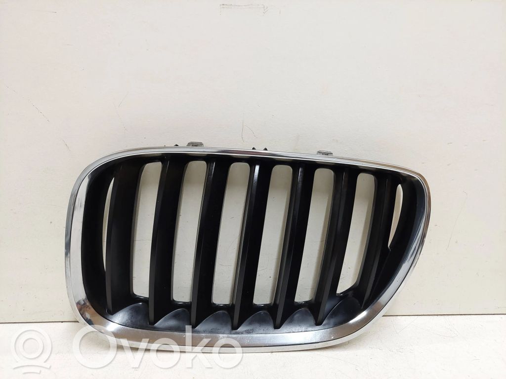 BMW X5 E53 Front bumper upper radiator grill 