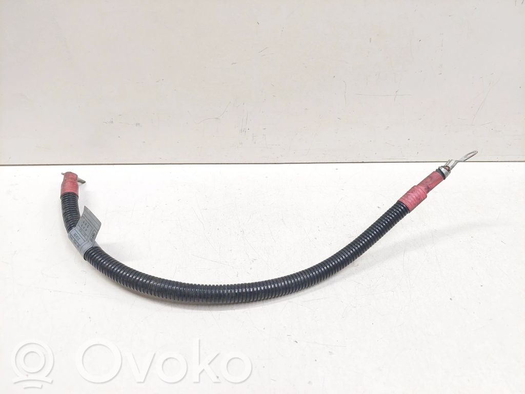 Cable positivo (batería)   7789754,77897555,5137417