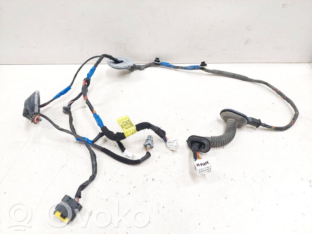 Hyundai Santa Fe Cableado de puerta trasera 