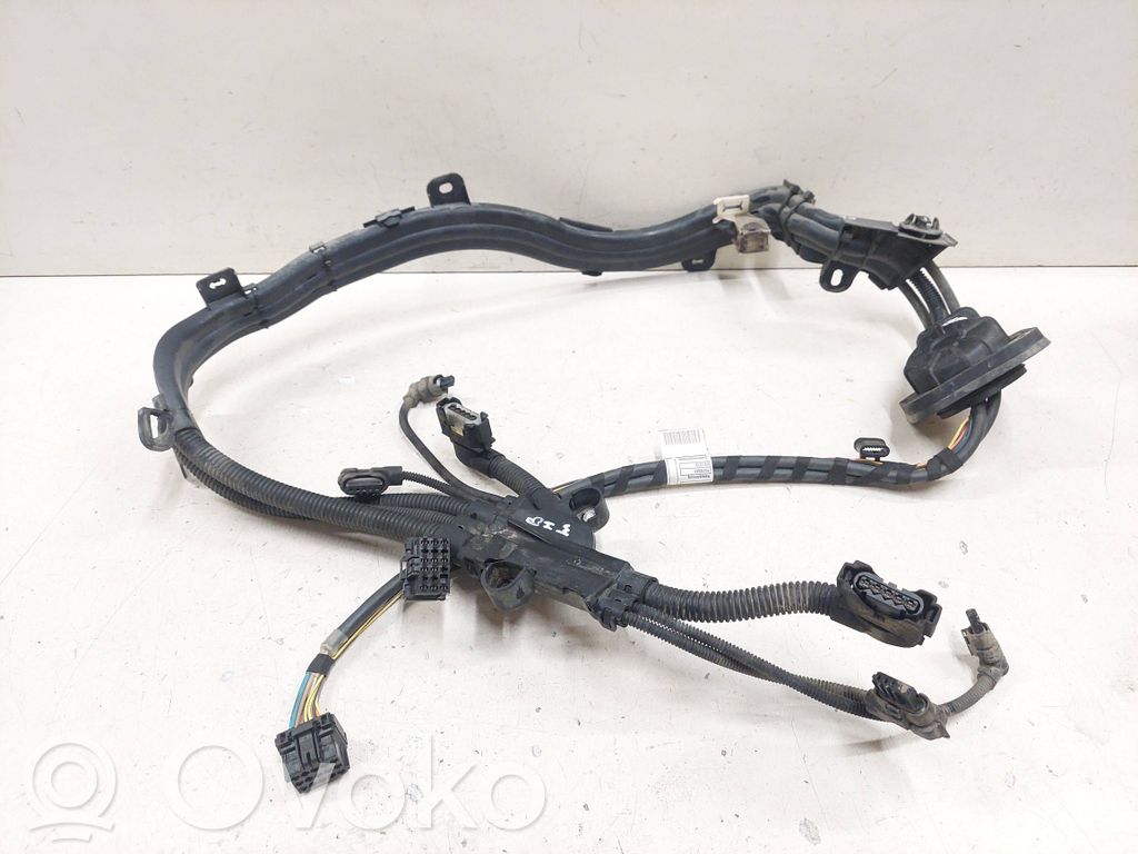 BMW X6 E71 Other wiring loom 
