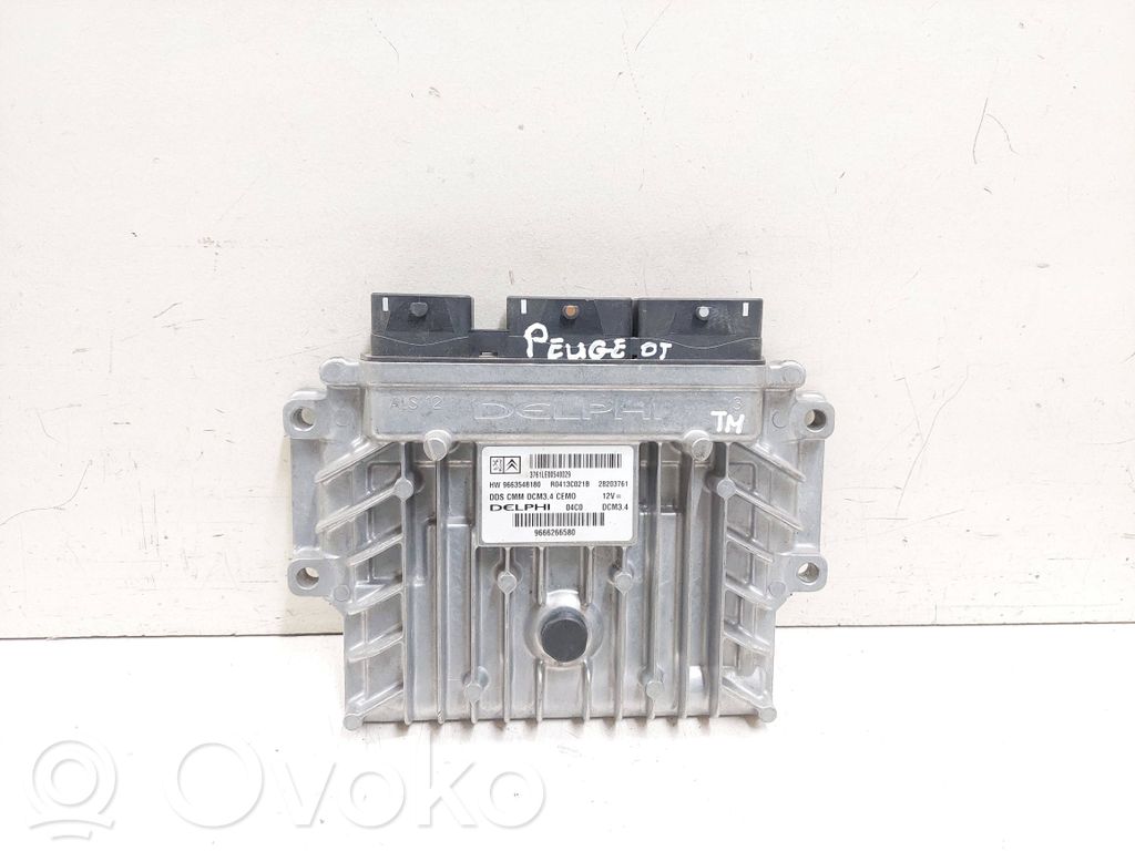 Peugeot 407 Engine control unit/module 