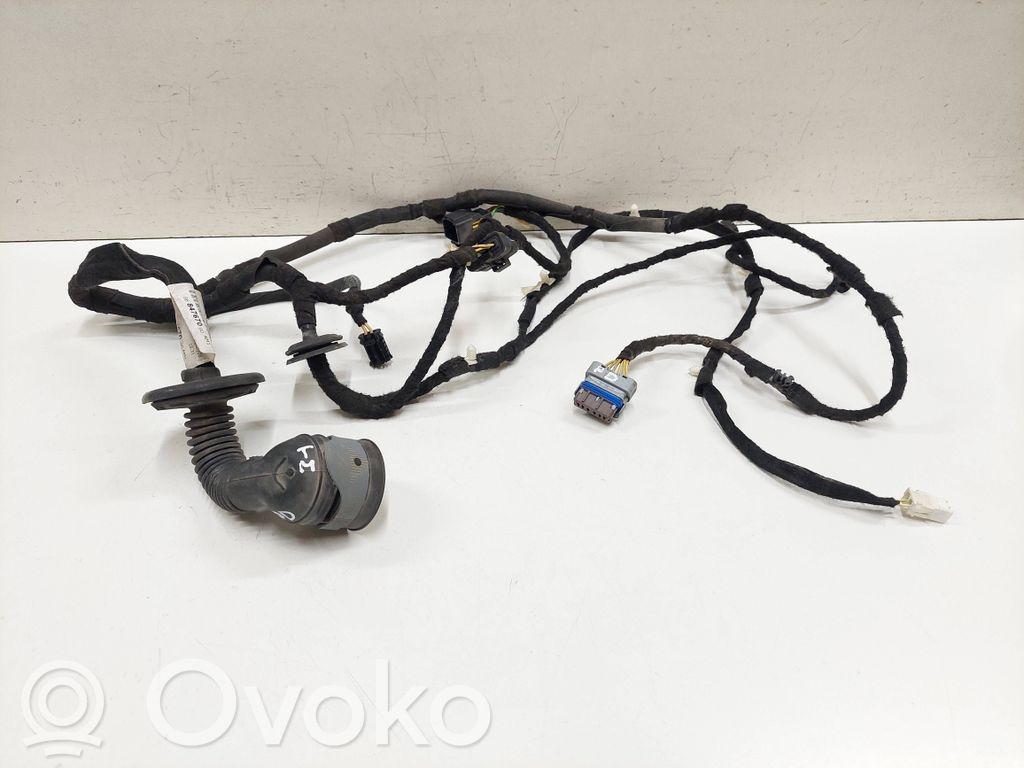 Cableado de puerta delantera   9684767080