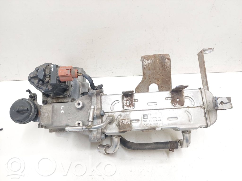 Chevrolet Captiva Refrigerador de la válvula EGR 