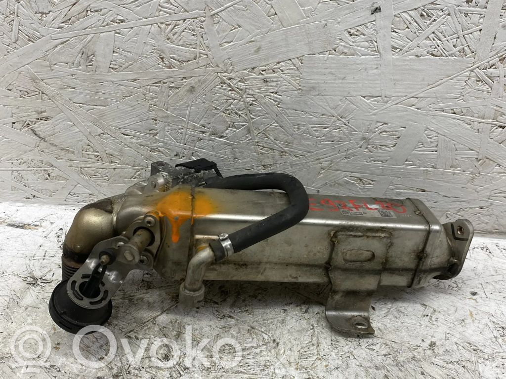 BMW 3 E90 E91 EGR dzesētājs 