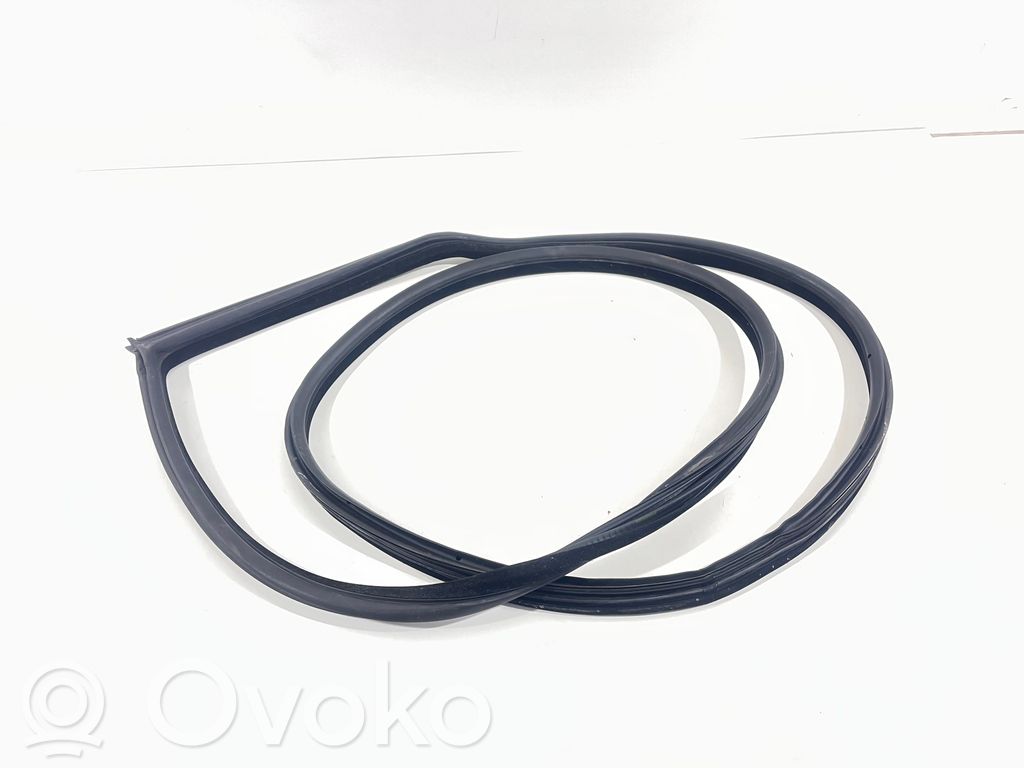 BMW 3 E92 E93 Front door rubber seal 