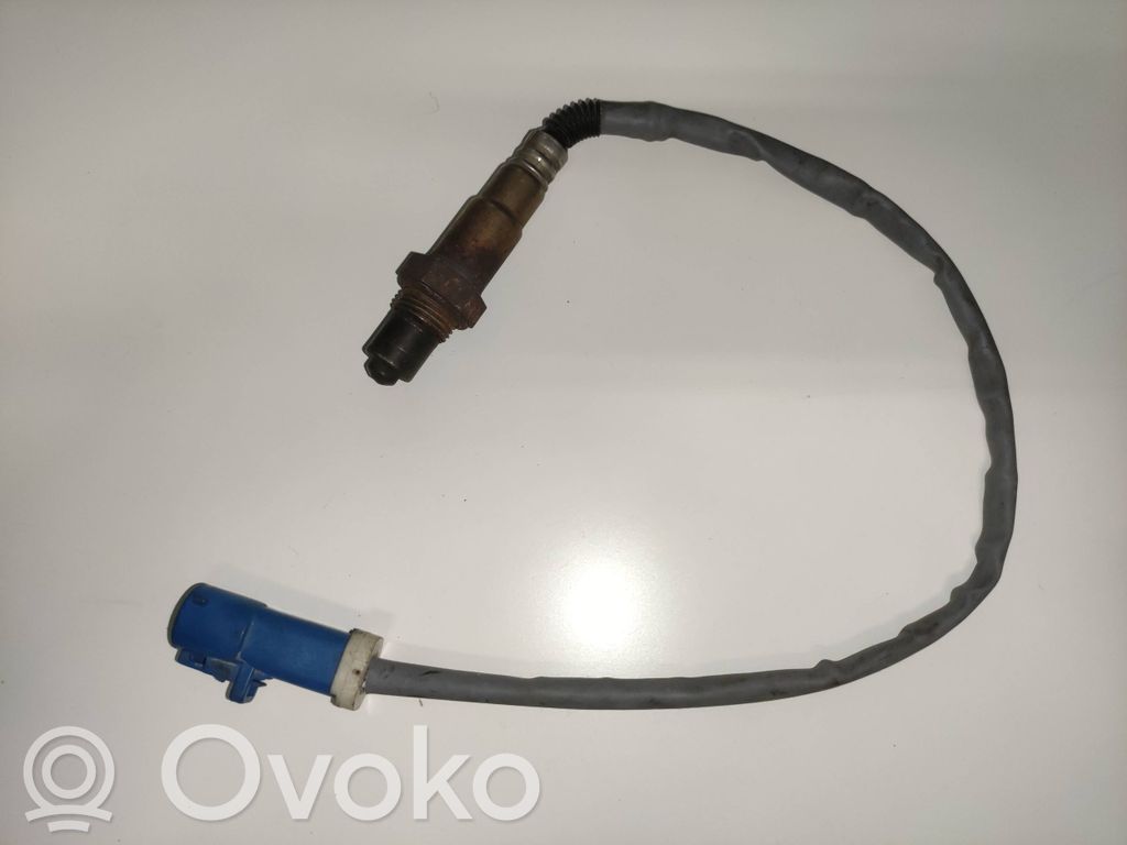Ford Focus Lambda zonde 
