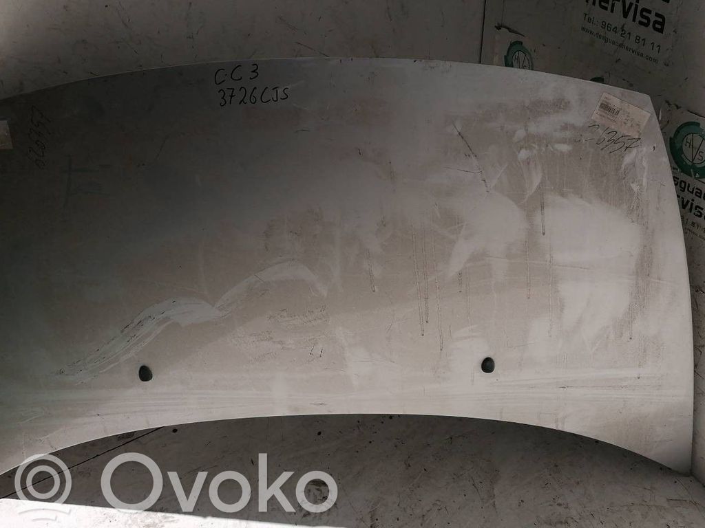 Dzinēja pārsegs (vāks)   FASEI