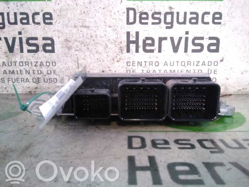 Engine control unit/module   9811545080