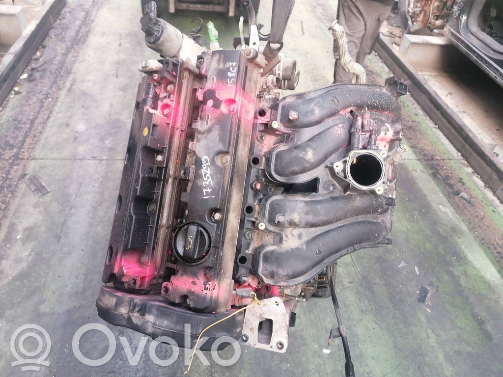 Motor   6FZ