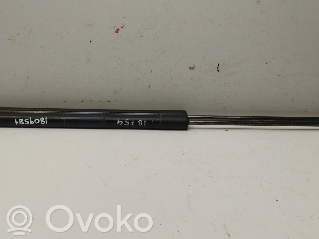 Honda CR-V Odbój klapy tylnej bagażnika 