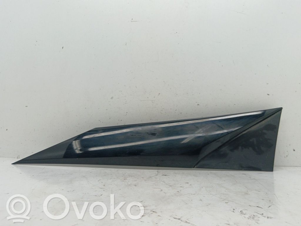 Moldura del panel   60118YY011